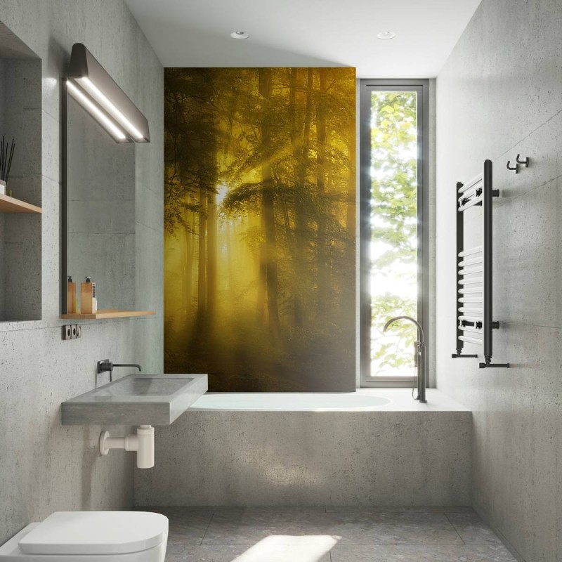 MARBURG | Relaxing Forest